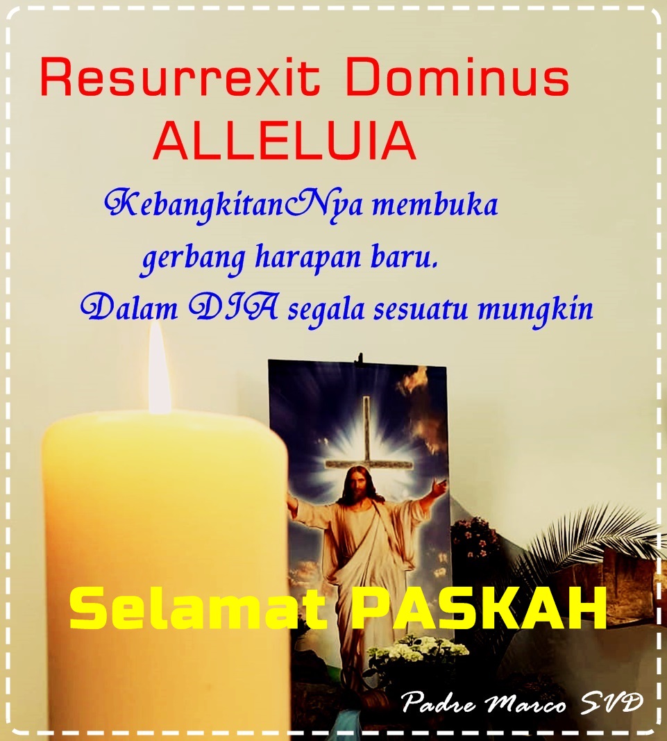 Padre Marco tweet media