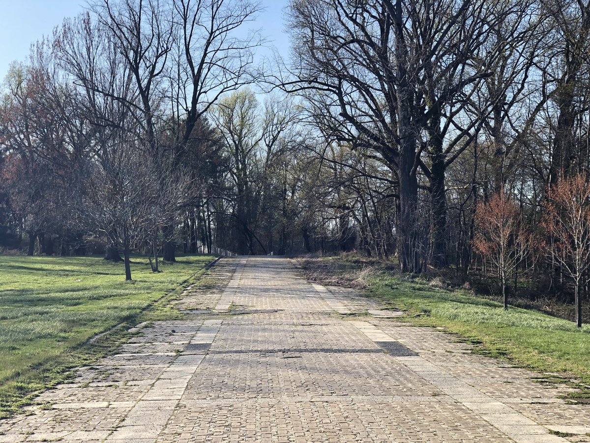 What is and What Can Be.... #YellowBrickRoad #BandstandPavilion #BoatLake #DruidHillPark #DHPP