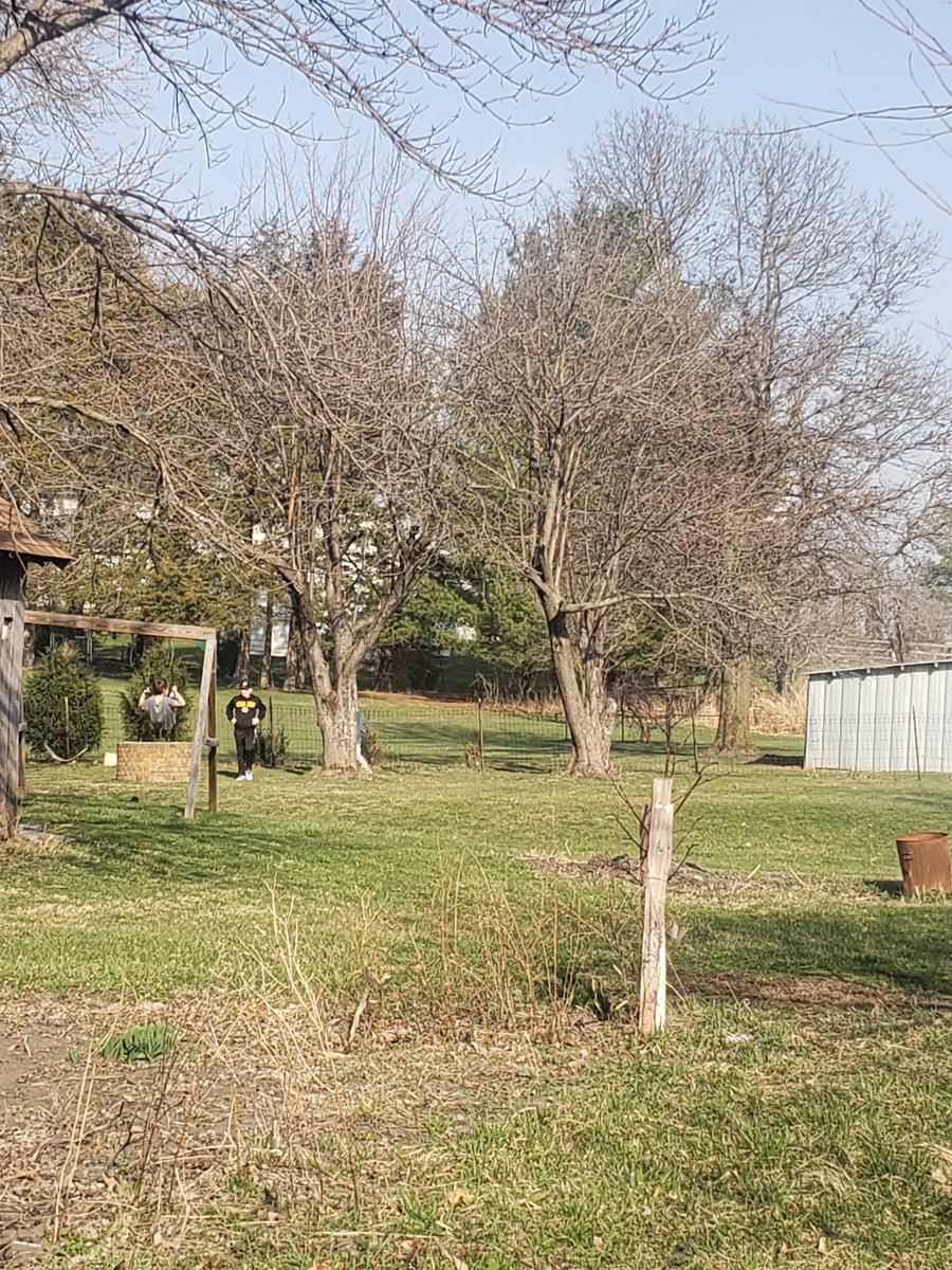 BadWolfArianna's tweet photo. This is our house. Its not much, but we were hoping to have it liveable by now. Money and the economy definitely hasn't been in our favor, but the view and space and land available to grow food is SO amazing regardless
#SpringTime #gardening #timetosow #Sustainability https://t.co/zQd23z9QDR