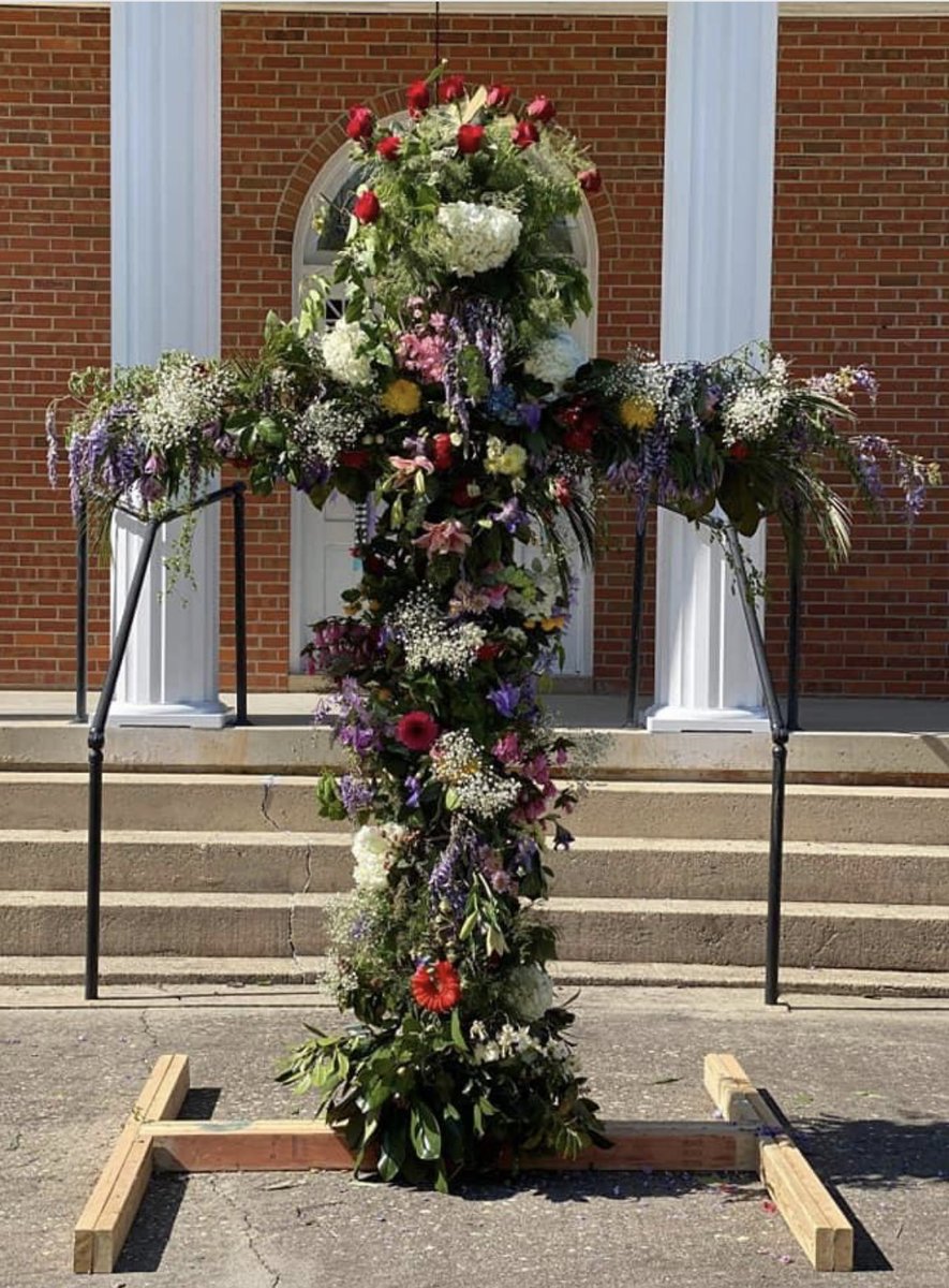 Susan Williams tweet media