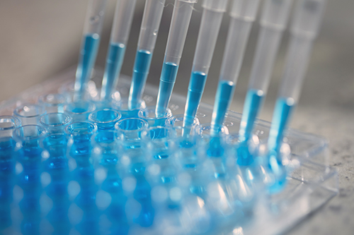 Mayo Clinic scientists conclude in new publication that there is a near-zero probability for the natural emergence of a new measles virus capable of evading vaccine-induced immunity. Read more: mayocl.in/3sHD3UD