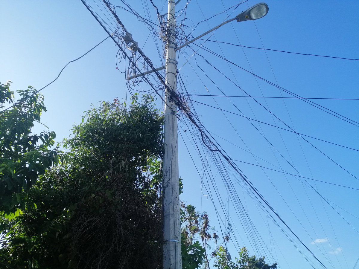 aorilla's tweet photo. @CFE_Contigo vuelvo hacer el reporte de chispeo de cables por los  vientos y maleza en este poste. Pido su apoyo. Si aún tenemos energía pero necesitamos que chequen el estatus de los cables y la maleza antes que cause un corto circuito. https://t.co/6QrAYDVPCU
