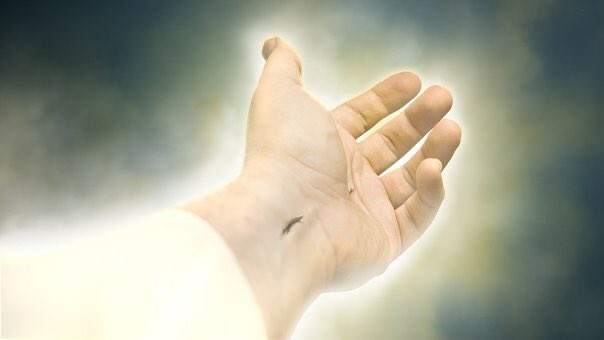 t_arantxa's tweet photo. Lo supe cuando el escozor
de mis ojos murió en tu abrazo.
 Cuando ardió mi corazón, 
con cada latido a tu paso. 
Lo supe y entonces cambié. 
¿Acaso la fe sea tan fuerte?
¡Tanto que elijo saber 
que el Amor venció a la muerte! https://t.co/MRW9S0UrVK