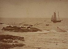 TPuszczewicz's tweet photo. 148 years ago, the #SSAtlantic ran onto rocks &amp; sank off the coast of Nova Scotia. 535 of the 952 on board died. No females survived and only 1 child survived. https://t.co/gzoVWInqPa