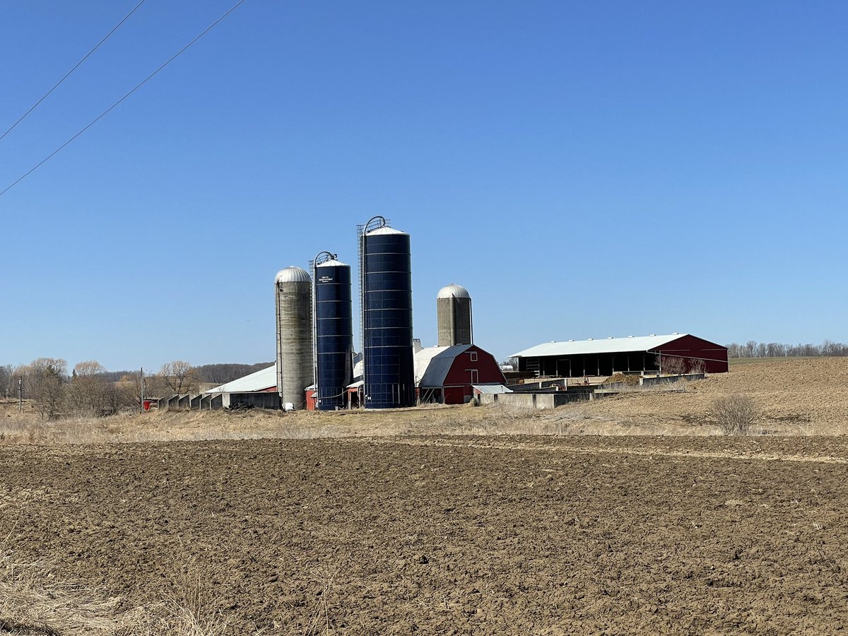 Great to see everyone at today’s Hilhorst land auction!  359 acres in 4 tracts averaged $30,250 per acre.  Congratulations to the buyers and sellers.  #ontag #farmlandauction #sellatauction #shackeltonauctions