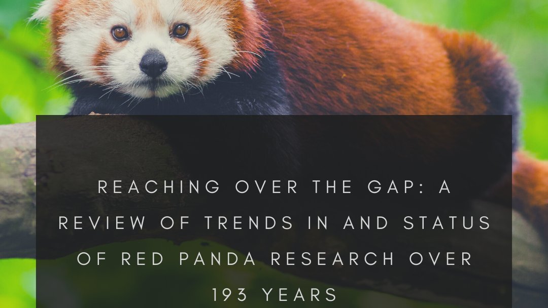 IACE_UniSQ's tweet photo. ✅ Adding this to our reading list🐼 #USQResearcher Prof Tek Maraseni collaborates with national & international colleagues in the latest publication in Science of the Total Environment Earth & Environmental Science. Read here 👉https://t.co/AwCS4VuqRY @usqedu #RedPanda #ecology https://t.co/xVJ0rxmHtp