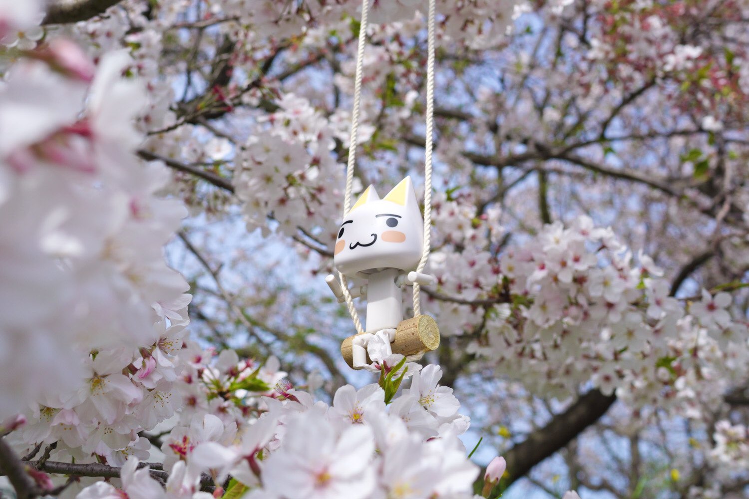 じゅんじゅん 桜の花が雲みたいニャ ブランコ気持ちいいニャ どこでもいっしょ トロ Sonycat ぬい撮り おも写 リボルテック Sony A6000 光画部 ミラーレス 桜 ブランコ 小さくなれるなら自分も乗ってみたい 灬ºwº灬 風で少し揺れるトロが