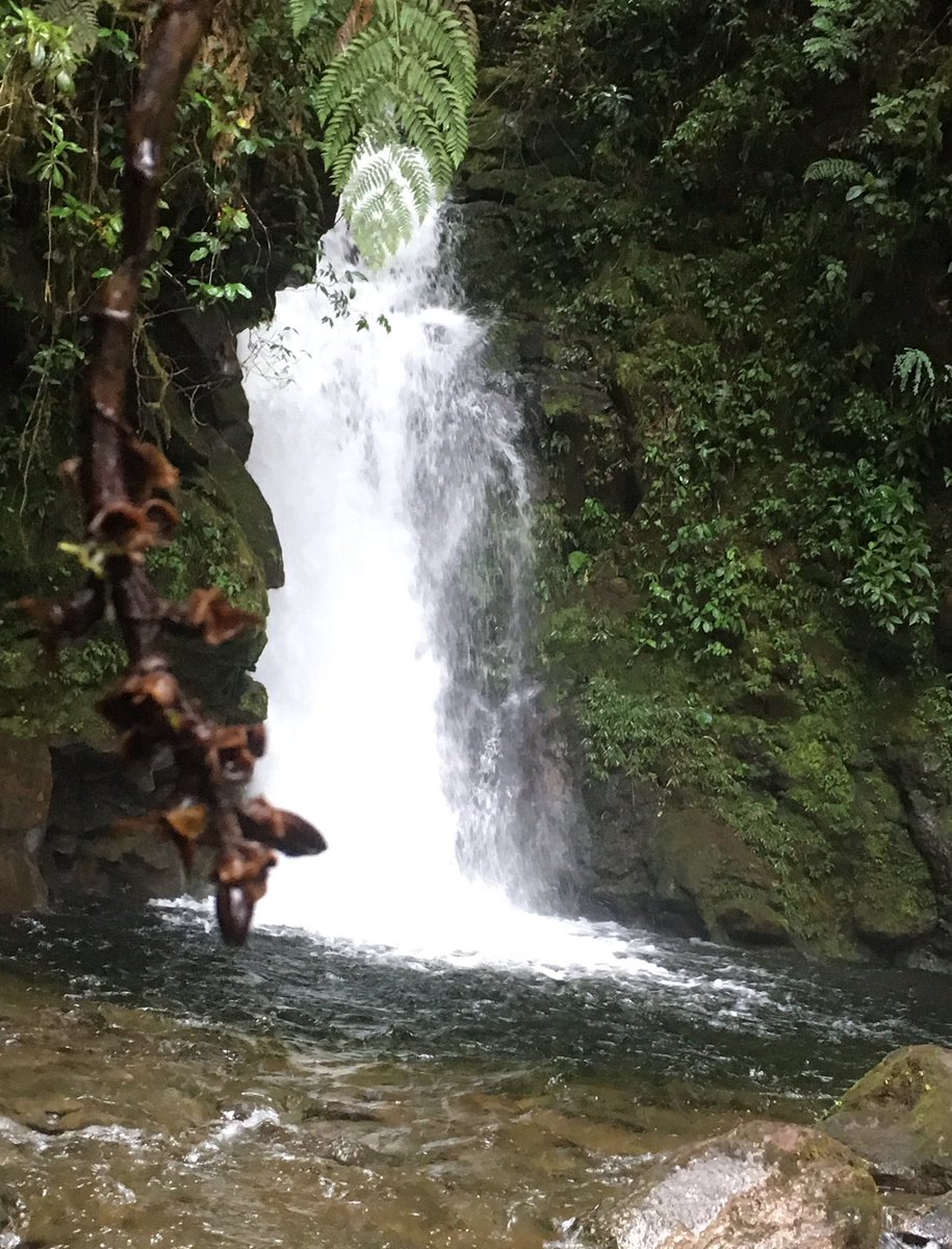 El agua del Parque Nacional