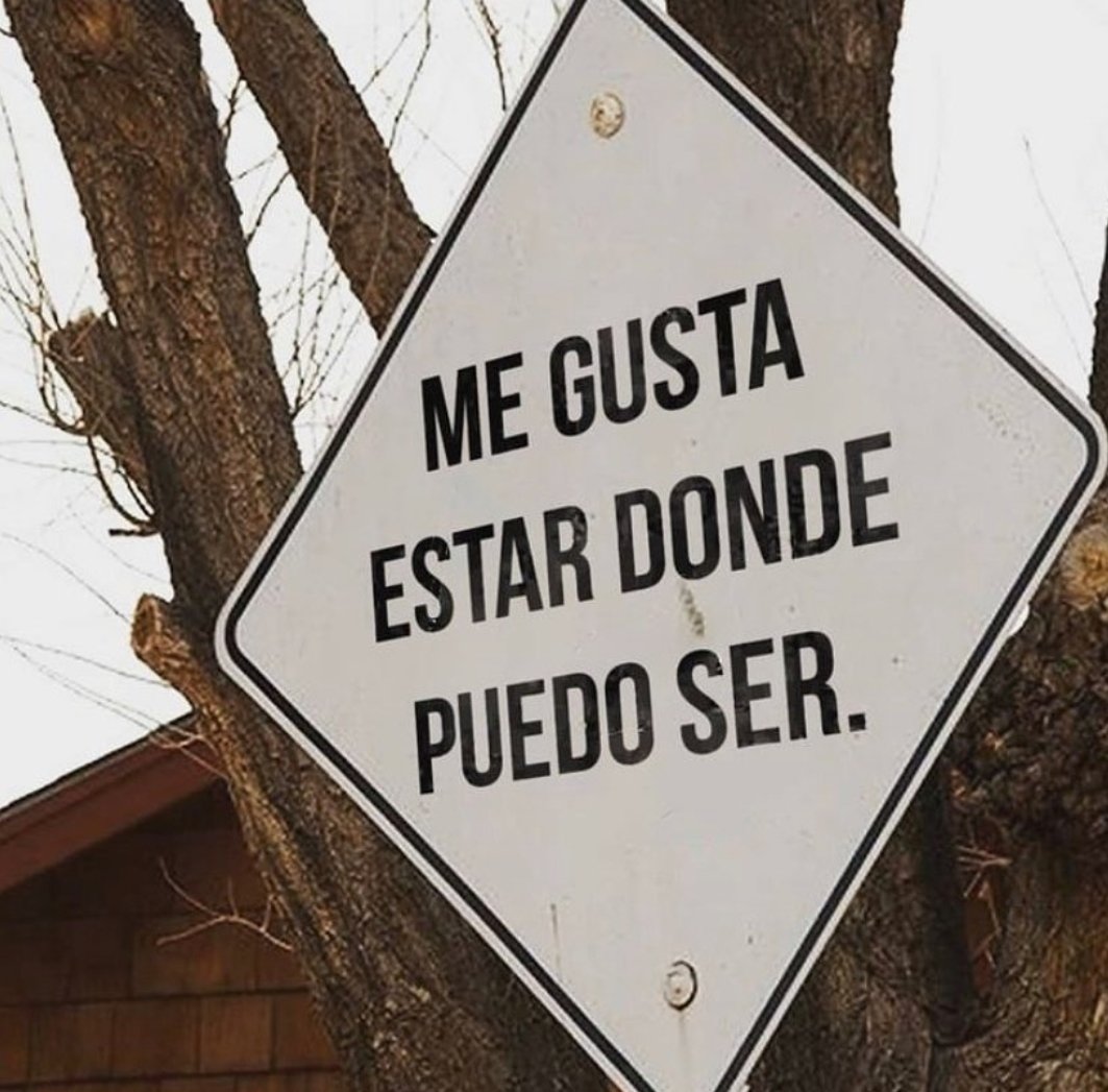 Danié 🚀 tweet media