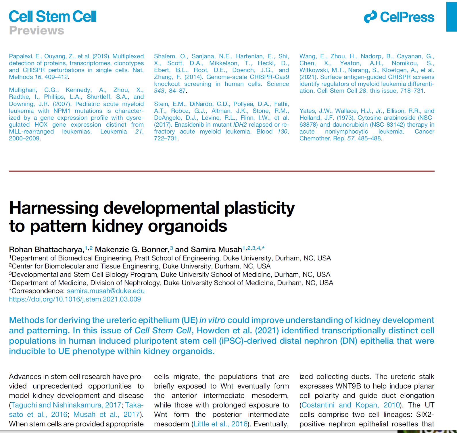 Musah Lab At Duke University Check Out Our Preview Paper On Harnessing Developmental Plasticityy To Pattern Kidney Organoids Published In Cell Stem Cell Musahlab Rohanbme Makenziebonner Profsamiramusah Dukeengineering Dukekidney