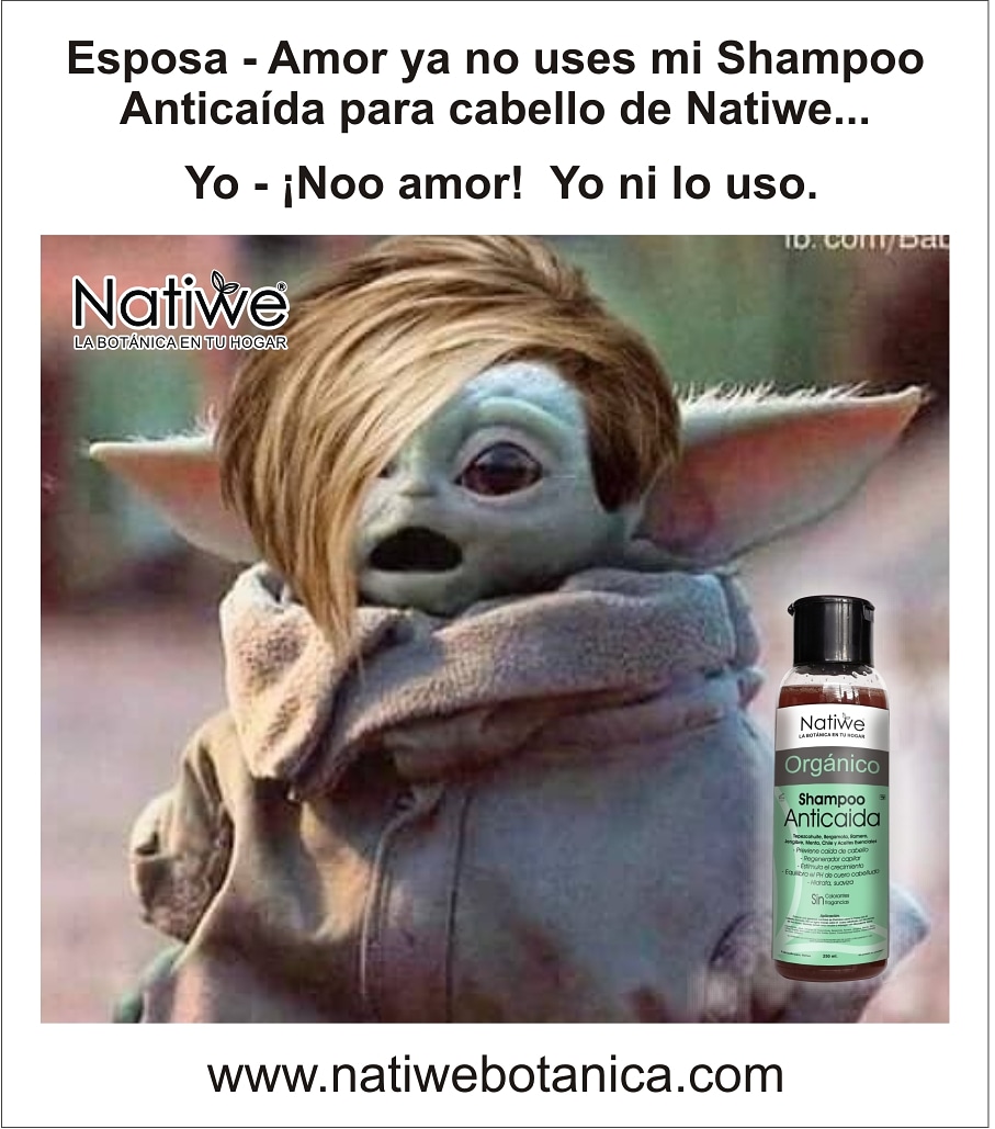 BotanicaNatiwe's tweet photo. Un poco de humor para este fin de semana semana 🤣😂🤣
¿Y tú ya probaste nuestro Shampoo?

#findesemana #bebeyoda #memesgraciosos #natiwebotanica #shampoo #caidacabello #cosmeticanatural #hechoenmexico #comprasonline #extratosnaturales #shampoonatural https://t.co/wx3b5gsDzL