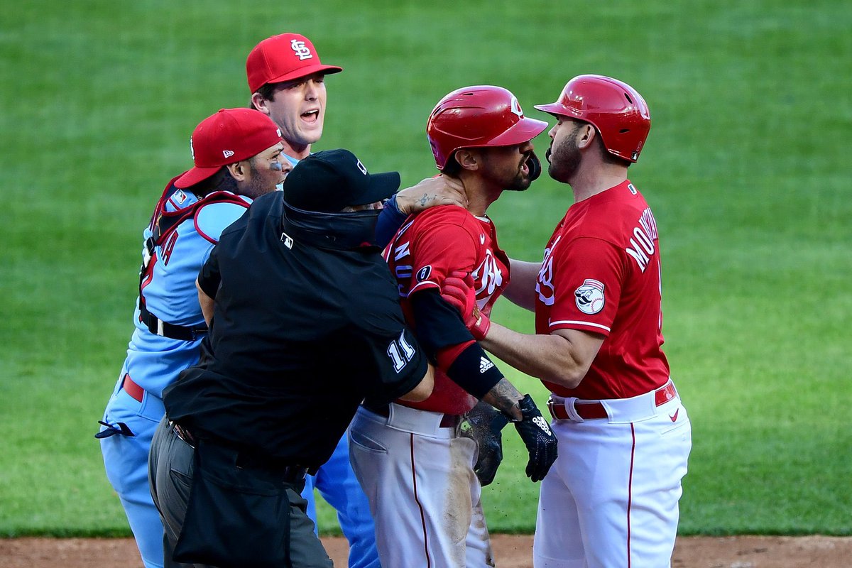 Baseball's Best Fans tweet media