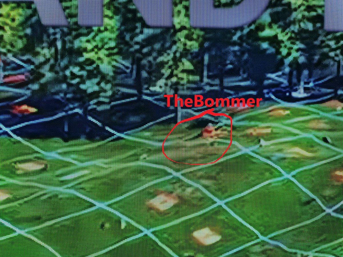 #Earth2EggHunt #TheBommer