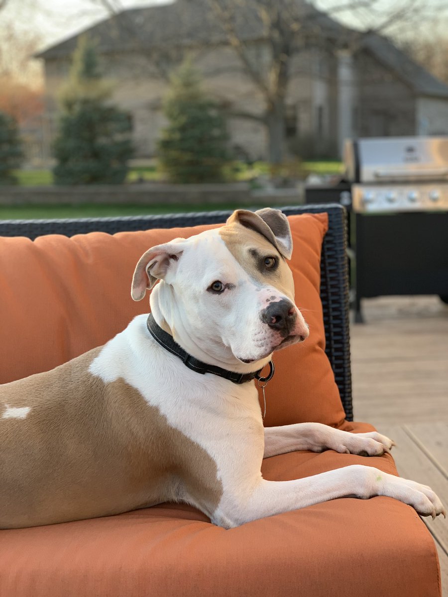 Trai Essex tweet media