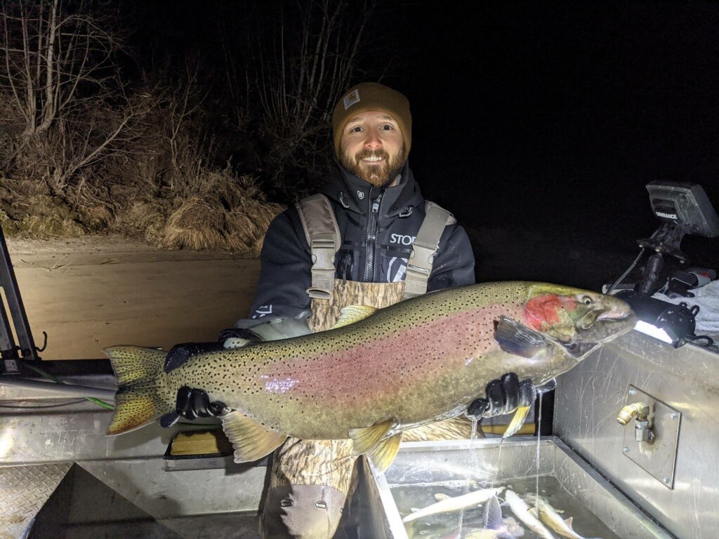 AndrewRansom7's tweet photo. Sometimes fieldwork shows you some pretty cool fish https://t.co/gIAWoH0bQw