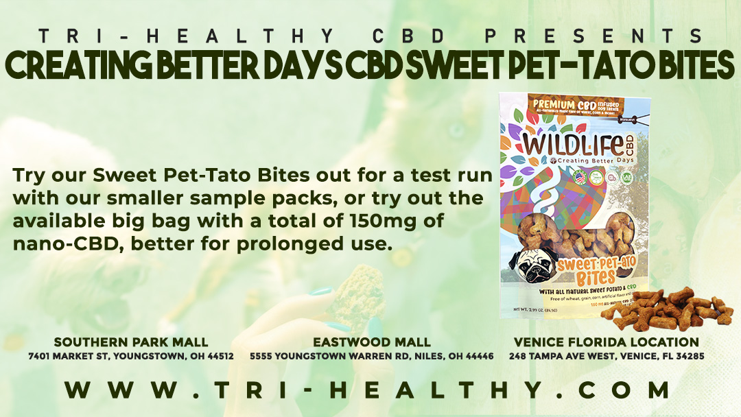 trihealthcbd's tweet photo. Try our Sweet Pet-Tato Bites out for a test run with our smaller sample packs, or try out the available big bag with a total of 150mg of nano-CBD, better for prolonged use. https://t.co/9TlfTGr97t #dogtreats #cbdpet #cbddog #sweetpetato #nanoCBD #hemp #TriHealthy https://t.co/AUNBxqJcge