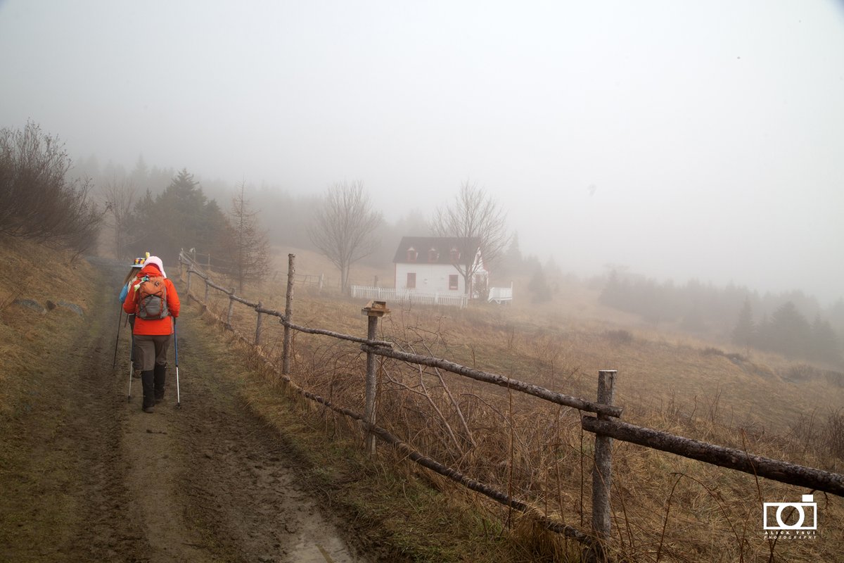 positively4ever's tweet photo. Foggy day today for a #hike #TorsCove but what a great backdrop for #photography #Cribbies @EastCoastTrail @TheGreatTrail #exploreNL @DestinationSJ @weathernetwork @downhomelife #TinkersPointPath https://t.co/IOpPHGAHcp