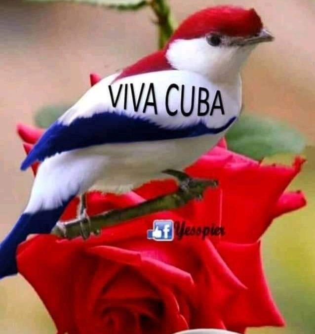 KamiloGil tweet media