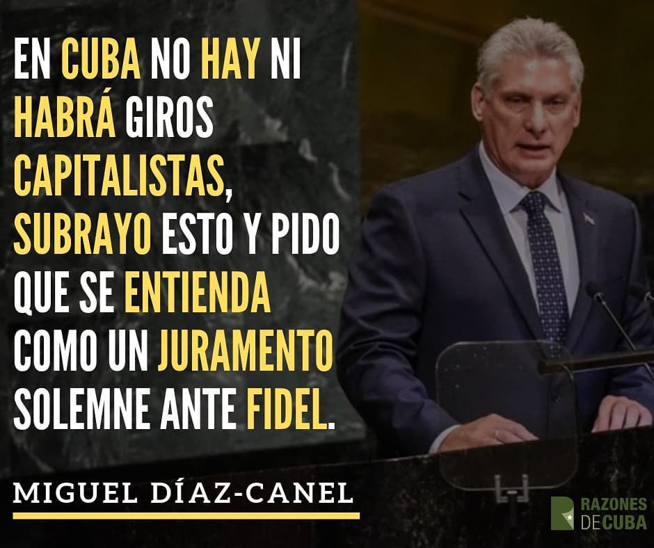 KamiloGil tweet media