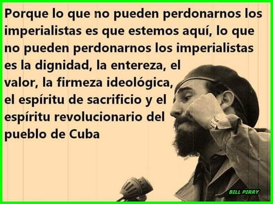 KamiloGil tweet media