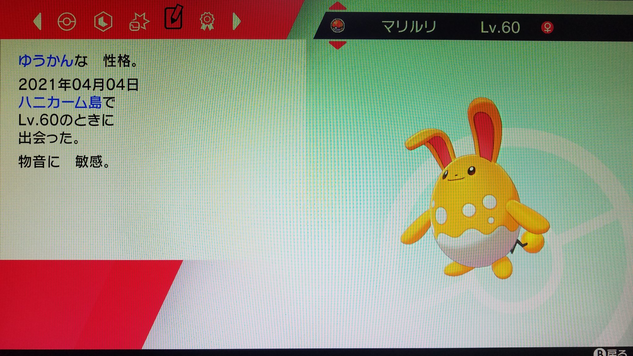توییتر God Of Ramon در توییتر ポケモン剣盾 期間限定の２パー確率の色違いマリルリ ８時間で２体ゲットした オスとメスのダブりなく やはりメインキャラは良い ツいてる T Co Yfylhggiod