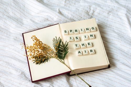 DTNEtiquette's tweet photo. Nothing like spring in the air to boost spirits, right? ~ #DTN #welcome2spring https://t.co/mctbGtAGPT