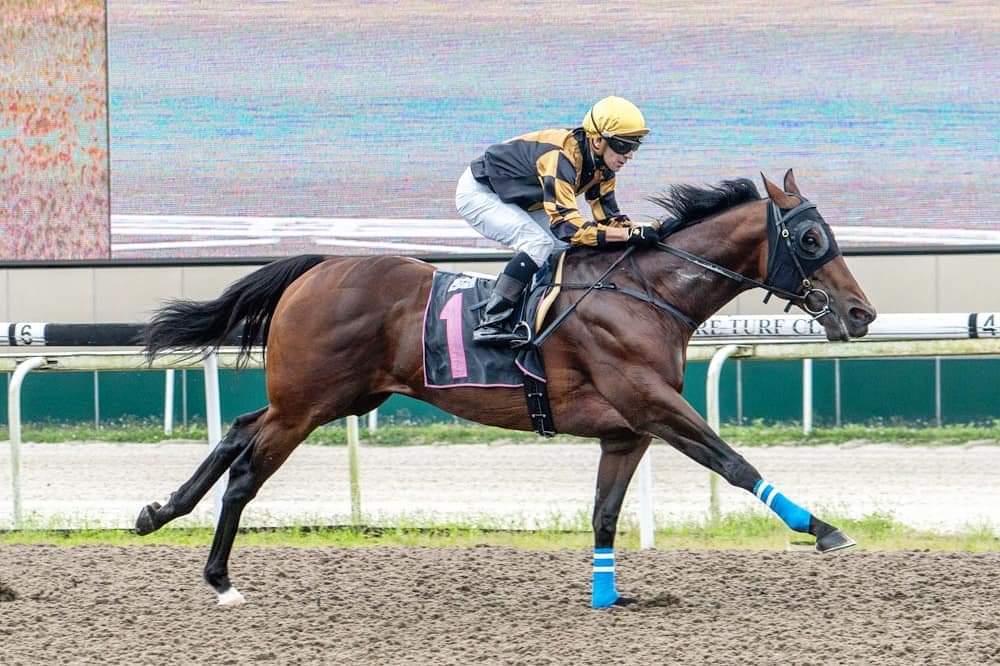 KranjiBroadcast's tweet photo. Cheval Rapide winning impressively today in Race 3️⃣ under @VDuric77 for trainer @James_PetersSTC and #TeamCheval ⚫🟡⚫
#SGRacing https://t.co/apVLihYeJH