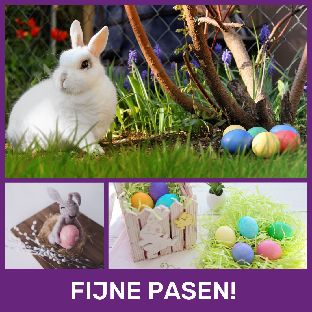 Eitjes zoeken kun je gelukkig ook in je eigen tuin. Fijne Pasen!  #coronaactiviteit #pasen #jados #sameninontwikkeling