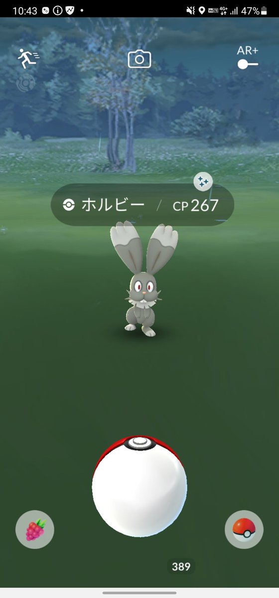 ブルック 色違いホルビー キターーーーーーーーッ ポケモンgo ホルビー 色違い イベント