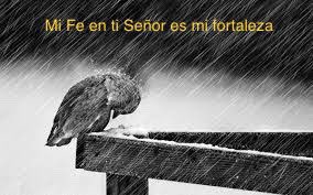 JavierQ_Tapia's tweet image. 👇🏼👇🏼👇🏼