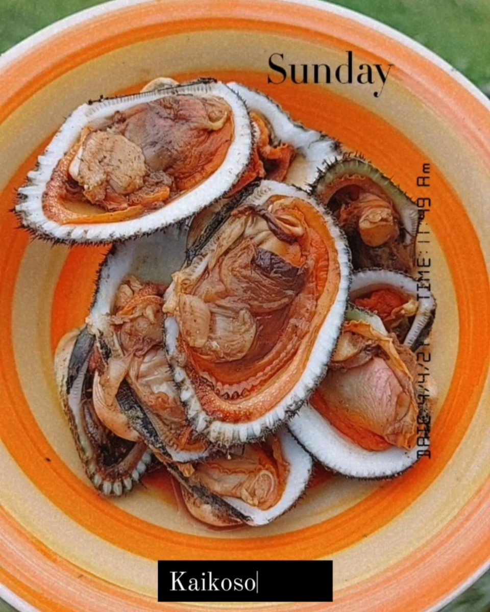 aries1485's tweet image. Kaikoso la mai nakoro.
#veratasweetness #maikana #kusima