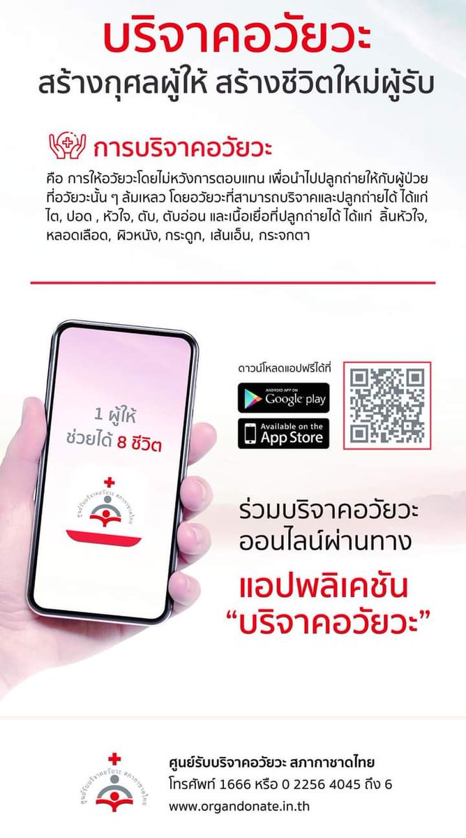 sailom_soi8 tweet picture