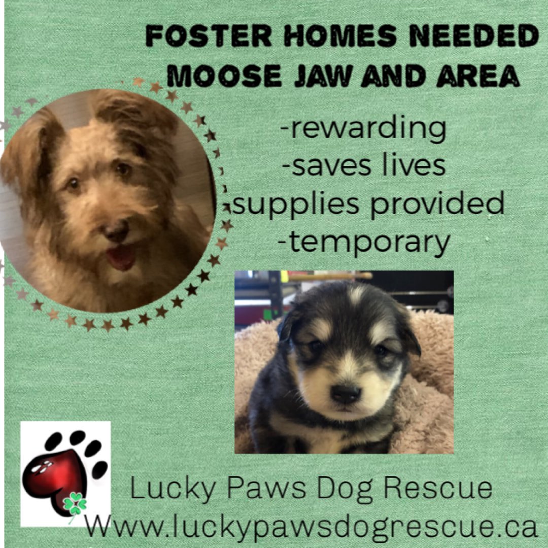 Msg us for more info.