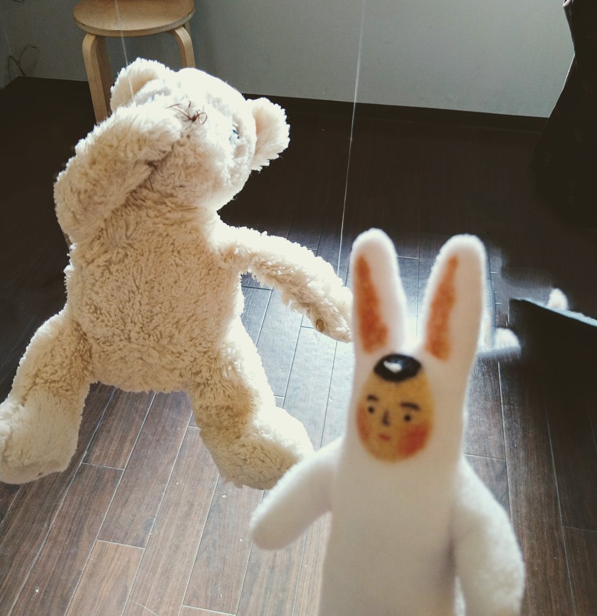 うさぎのさとうくん Hanerusato Twitter