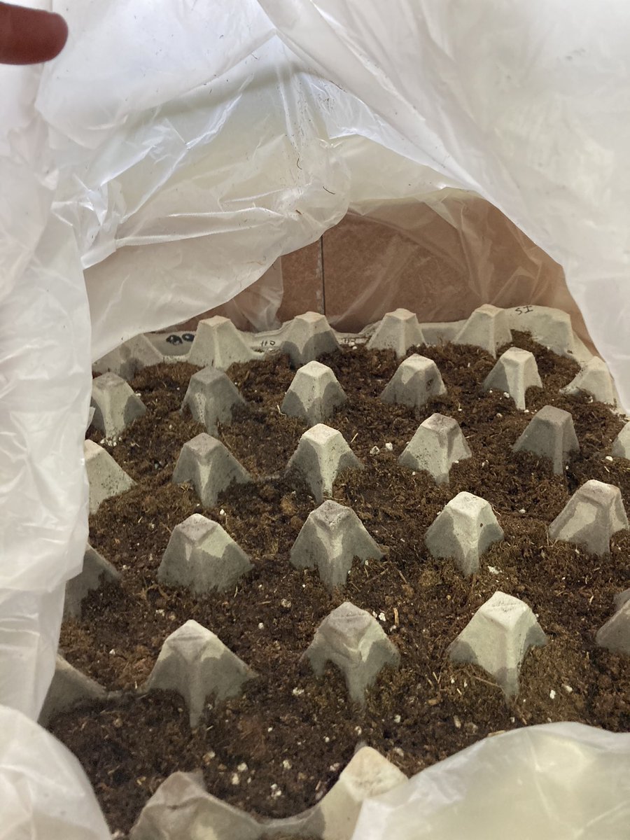 Cynthia_Campisi's tweet photo. #thankyouforhelpingmegrow #kanelandpride #room133 https://t.co/uO0b3cyygN
