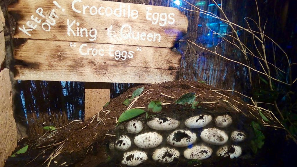 A happy Easter to all who are celebrating the holiday 🎉🐊 🐣