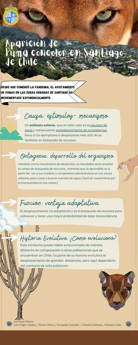 Y por qué sucedió esto el año pasado? Podríamos verlos de nuevo por aquí?