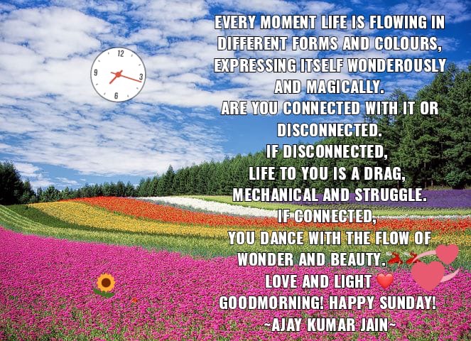 #goodmorning #happysunday #friend @KariJoys @Dianne__LadyD @gede_prama @PrachiMalik @tomalpat @JeanetteJoy @dinnydot