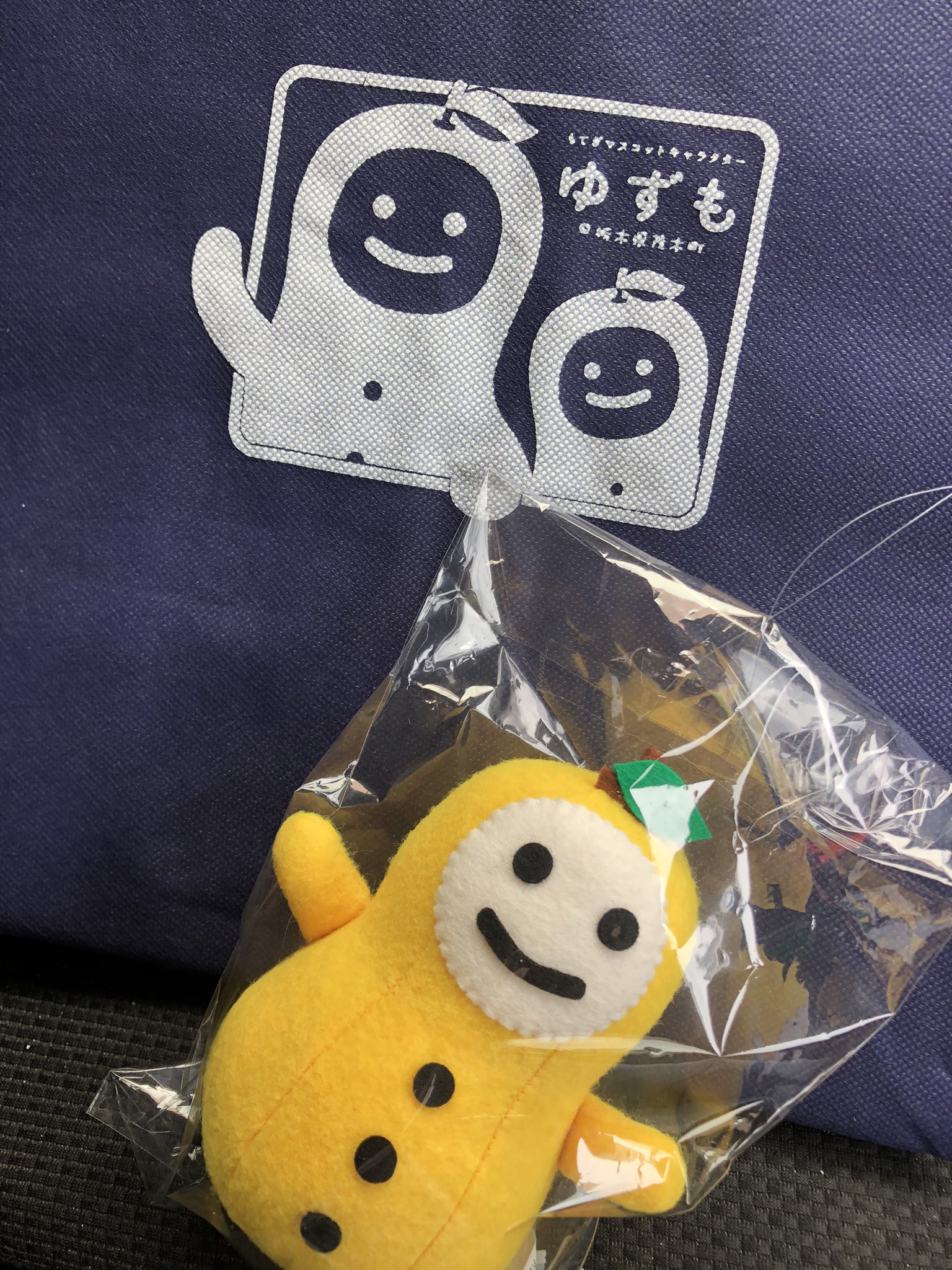 たらゆず様⭐専用ページ ゆず箱🐍 / パスタライ助 (@yuzu_box) / Posts / X