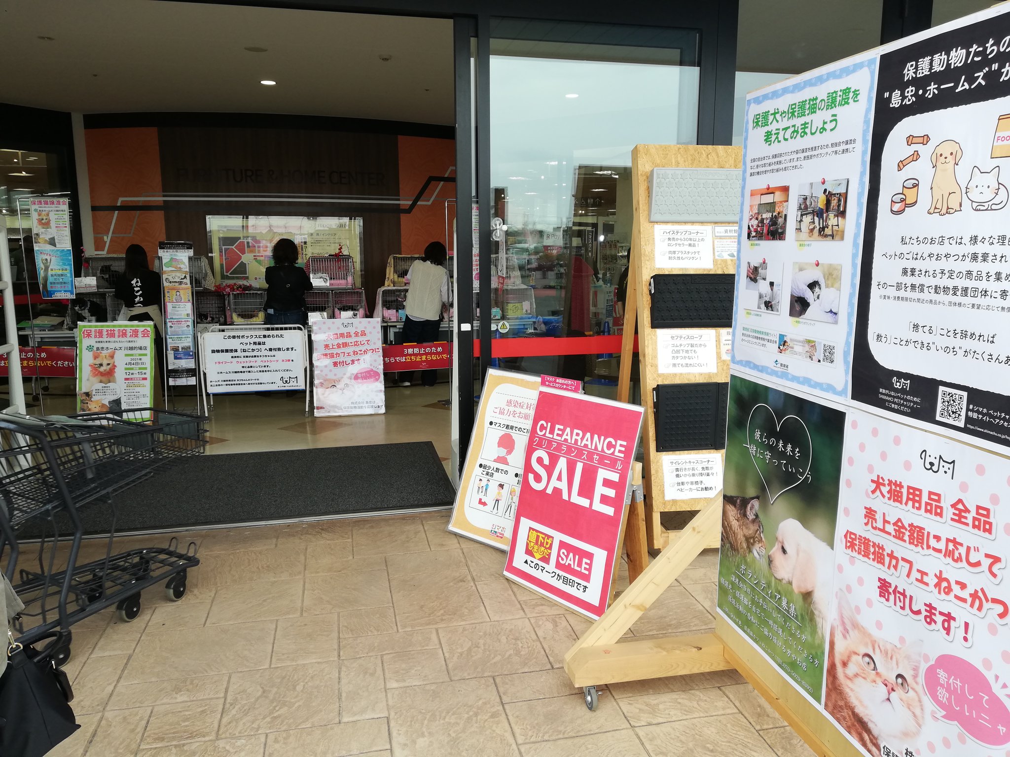 保護猫カフェねこかつ 川越 大宮日進 島忠ホームズ川越的場店さまにて 初の保護猫譲渡会を開催しています 島忠ホームズ川越的場 店さまでは 今後毎月２回保護猫譲渡会を開催していく予定です ねこかつ川越店から程近い島忠ホームズ川越的場店さまの譲渡