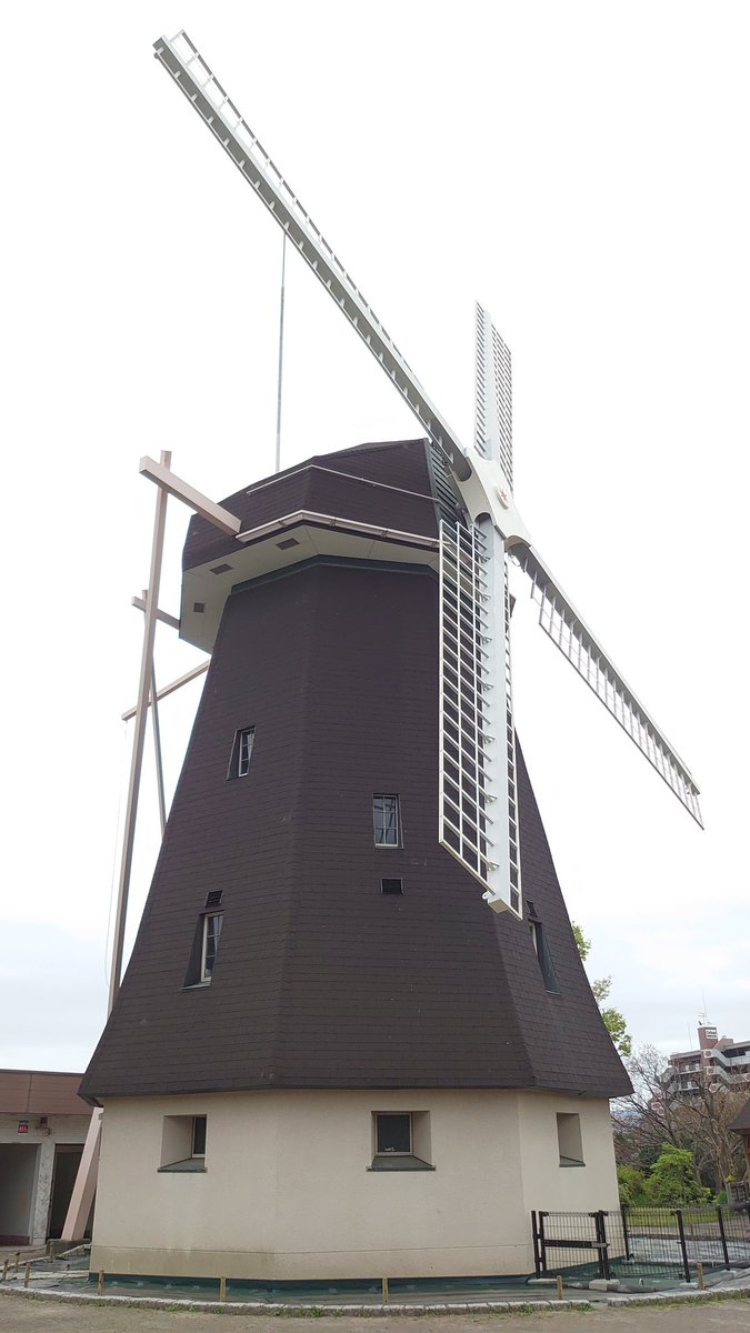 若旦那ムルタ 国盗り21春のはずみだま スポットは鶴見緑地 入り口からネモフィラにソメイヨシノ 風車の下にはチューリップとビオラが咲き誇り 流石は元花博会場といったところです これが無料で入場できる公園なんだから凄いですね ここまで整備