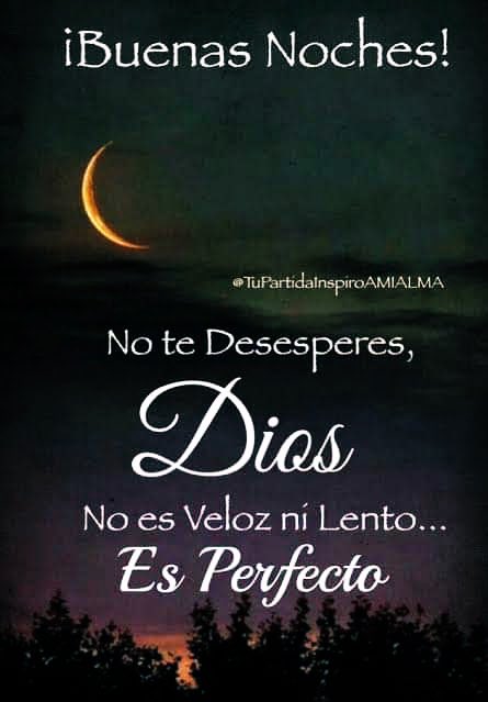 Amigos y seguidores
