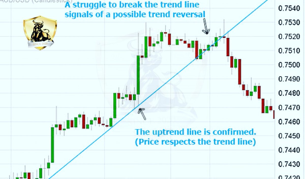 Bulls and Bears Academy (@academy_bulls) on Twitter photo 