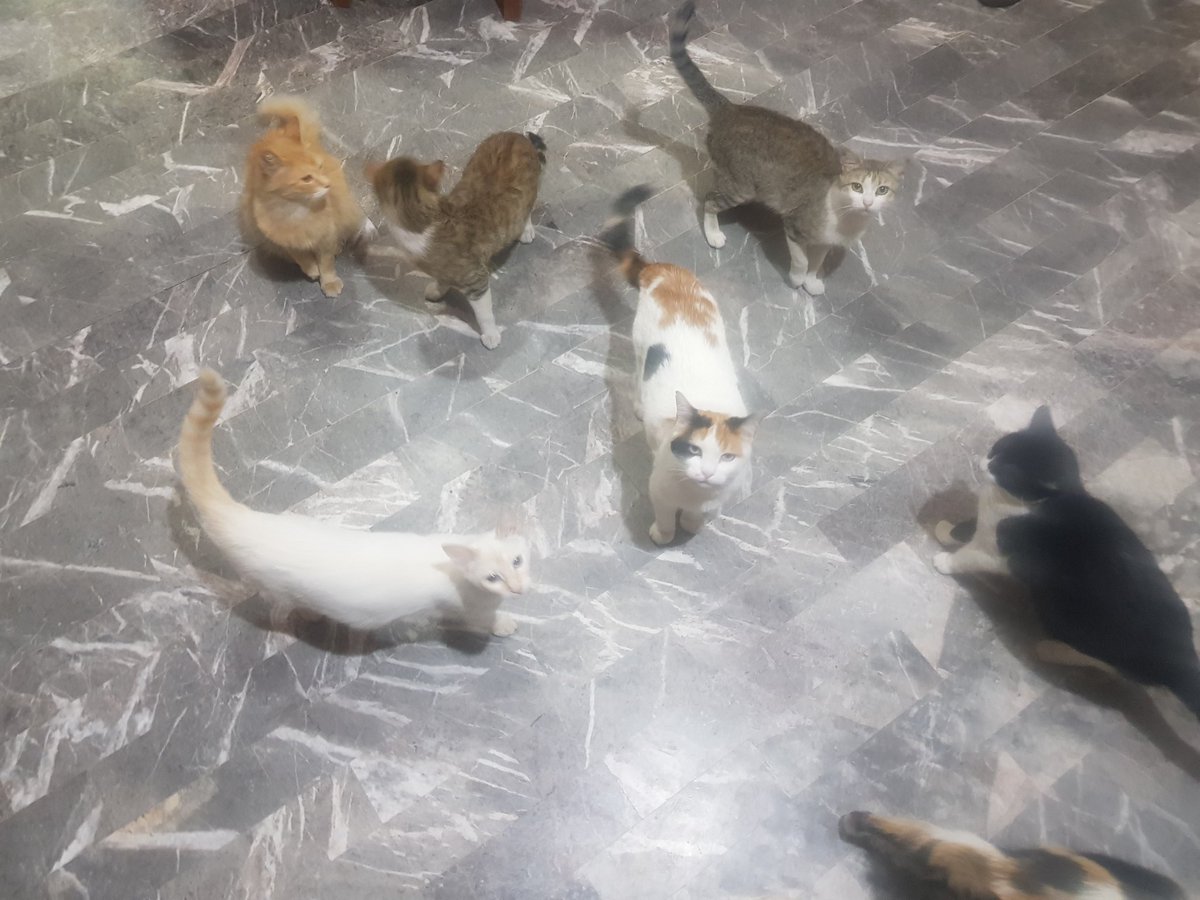 Gonzo  ॐ (@gonzo8723) on Twitter photo 