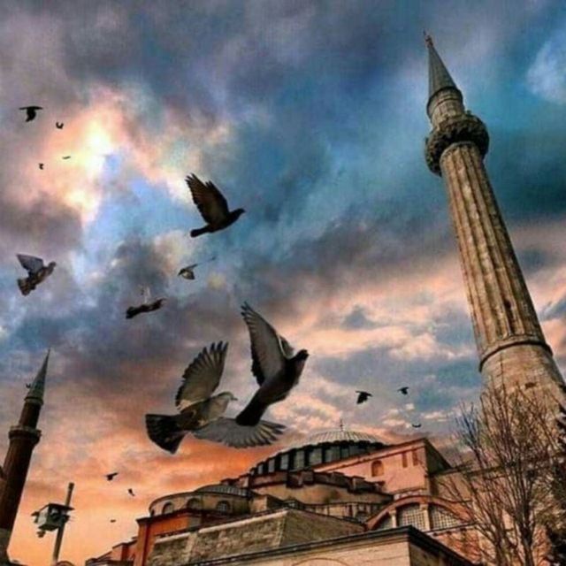 صباحُ الخير" ثم كُل ما نمُر به سينتهي ، وسَتأتي أيامٌ تُرضينا بأذن الله"💙🦋..
#صباح_الأمل