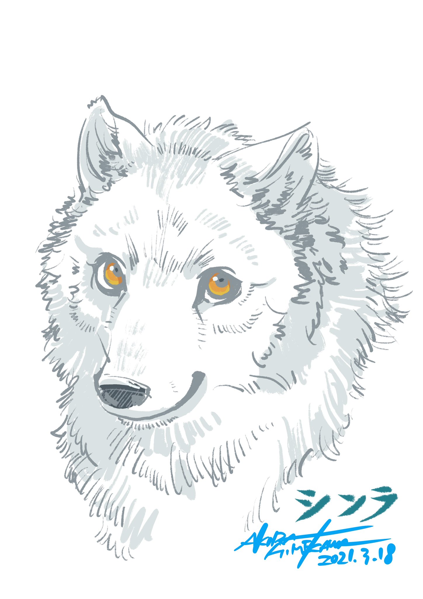 姫川明輝 8 31 9 6京都伊勢丹展示会 ご報告 那須どうぶつ王国 さんの ホッキョクオオカミ 新しい女の子の命名をさせて頂きました 素晴らしきご縁 長年自分とって特別な憧れの動物 オオカミの名前を付けさせて貰えるなんて一生の宝物になりまし