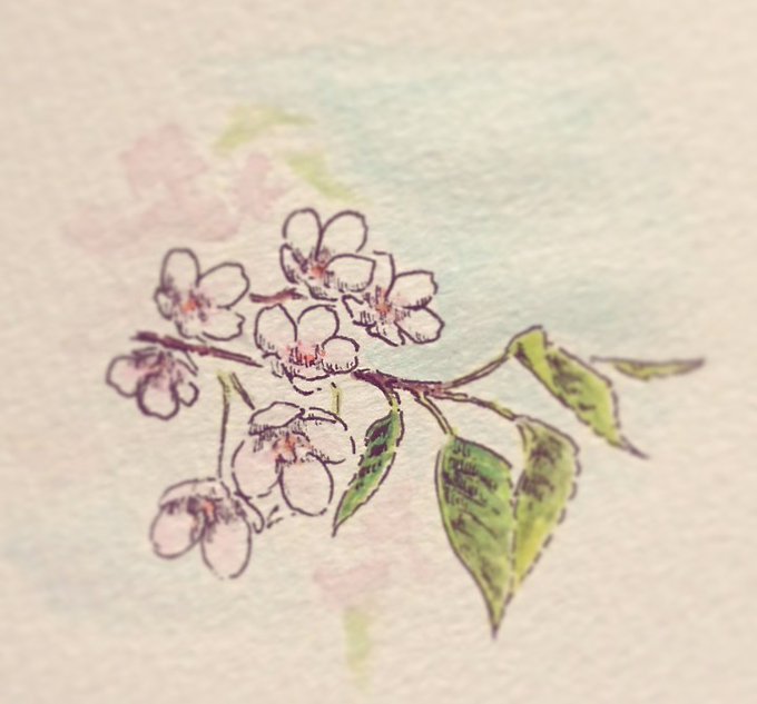 葉桜のtwitterイラスト検索結果 葉桜のtwitterイラスト検索結果