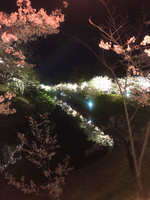 夜桜 高画質 のtwitterイラスト検索結果 古い順 夜桜 高画質 のtwitterイラスト検索結果 古い順