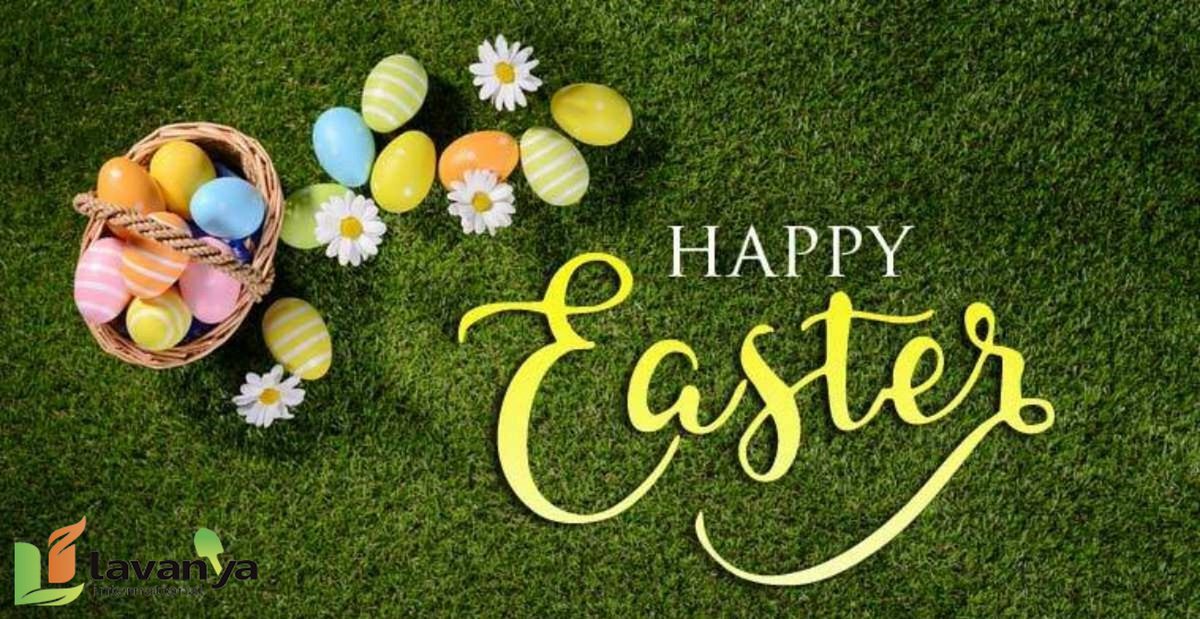 lavanyaint's tweet photo. Happy Easter from us to you😇

#Easter #EasterSunday #Easter2021 #holidayweekend #GardenersWorld #gardening https://t.co/B2GB1VIHul