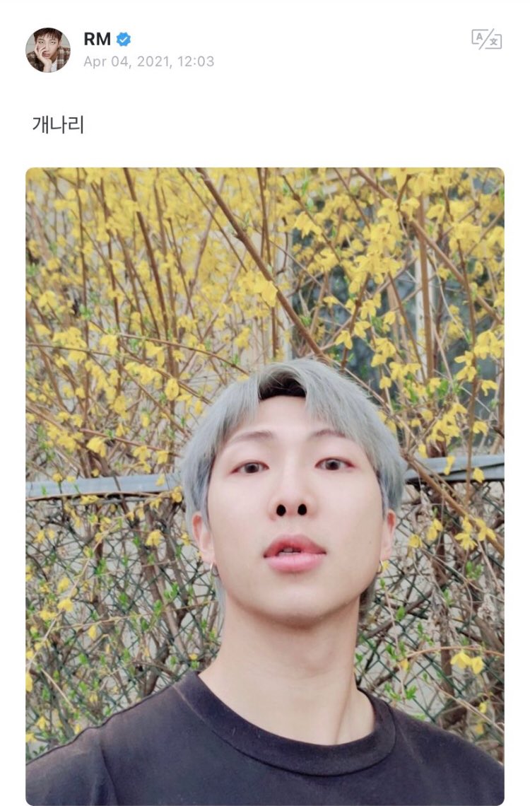 kurd_namjoon's tweet photo. #kurdnamjoon
“
~~~~~

پۆستی نامجون لە ویڤێرس 

🐨: فۆڕسیسیا

مەبەستی لەو گوڵەی بەھاریەی دوایەوەیەتی کە ھەروەھا بە گوڵی ,,زەنگۆڵەی ئاڵتوونی کۆری,, ناسراوە و گۆڵێکە کە لە بەھاردا گەشە دەکات 

-------

Ad~JiJi 

#kurdisharmy #bangtan @BTS_twt https://t.co/LroCIP69rZ